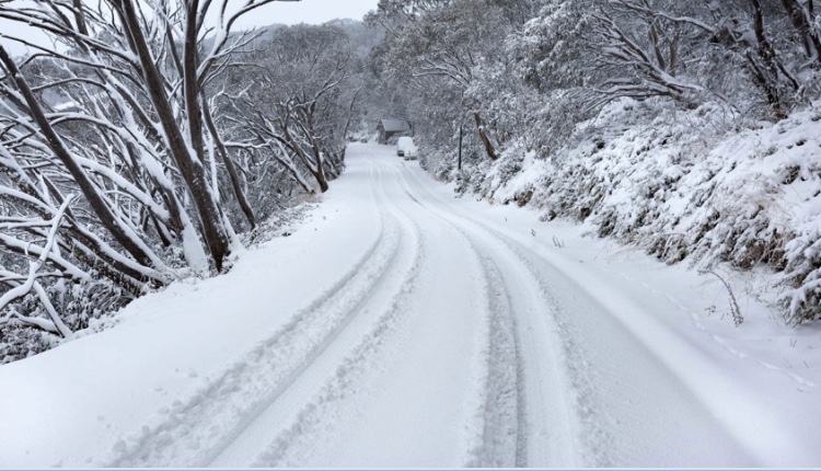 5B501357-6ACE-4B1D-BE1C-994C0BA4542E