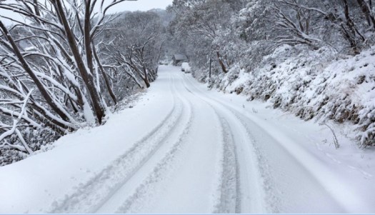 5B501357-6ACE-4B1D-BE1C-994C0BA4542E